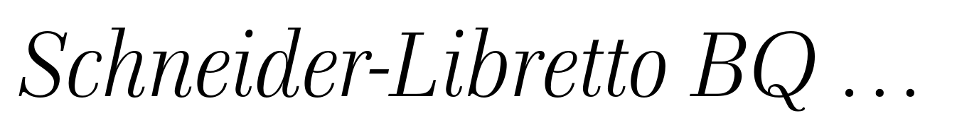 Schneider-Libretto BQ Light Italic
